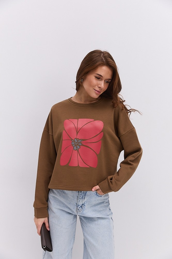 Купить коричневый свитшот с принтом - фото