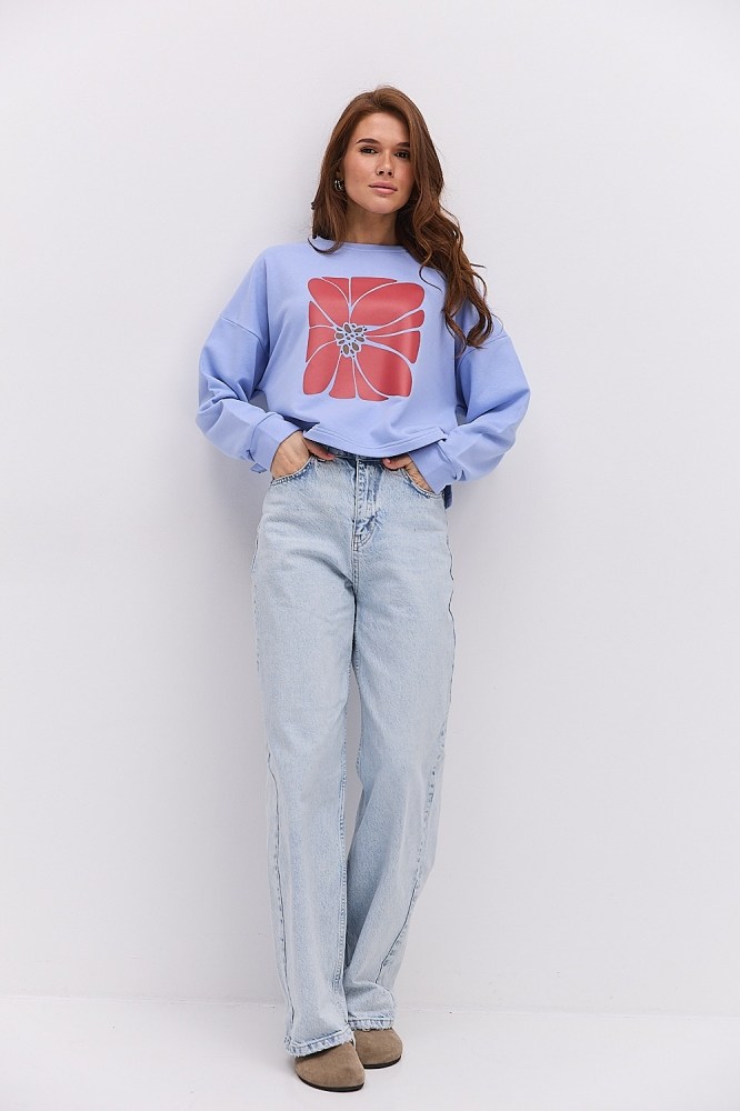 Купить голубый свитшот с принтом - фото